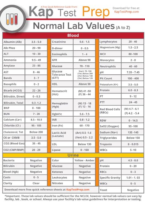 Blood Test Results: Lab Values 4+ .